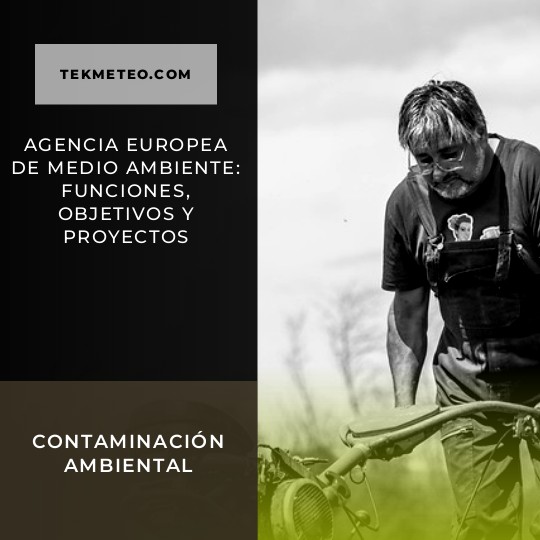 Agencia Europea de Medio Ambiente: Funciones