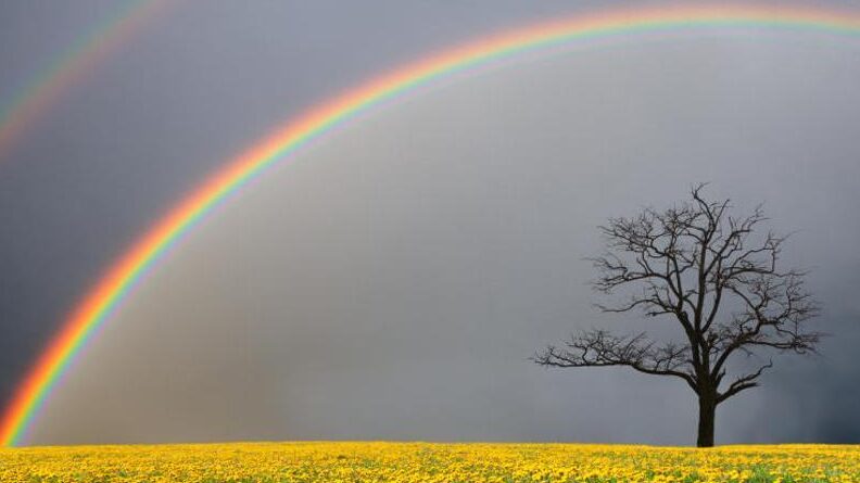 Descubre por qué ver un arcoiris puede atraer la buena suerte