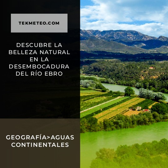 Descubre la belleza natural en la desembocadura del río Ebro