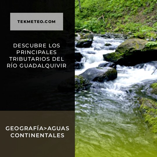 Descubre los principales tributarios del río Guadalquivir