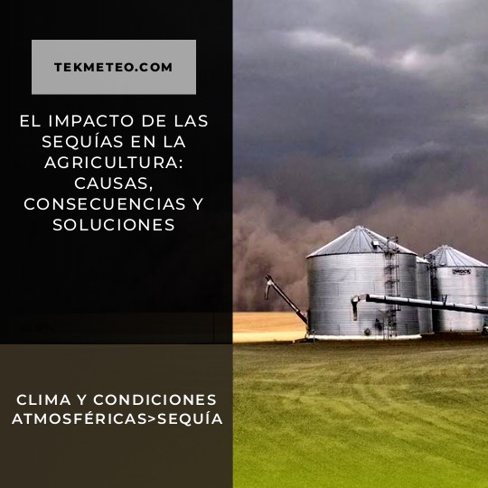 El impacto de las sequías en la agricultura: causas