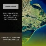 Explorando el Delta del Ebro: Naturaleza y Gastronomía.