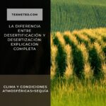 La diferencia entre desertificación y desertización: explicación completa
