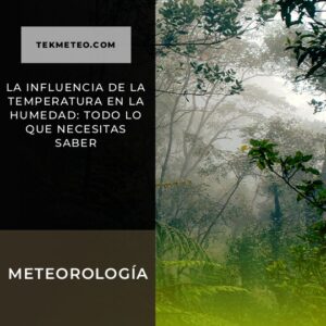 La influencia de la temperatura en la humedad: todo lo que necesitas saber