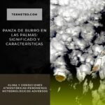 Panza de burro en Las Palmas: significado y características