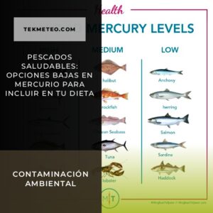 Pescados saludables: opciones bajas en mercurio para incluir en tu dieta