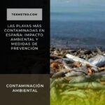 Las playas más contaminadas en España: impacto ambiental y medidas de prevención