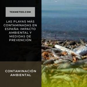 Las playas más contaminadas en España: impacto ambiental y medidas de prevención
