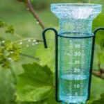Guía completa: Cómo medir las precipitaciones de manera efectiva