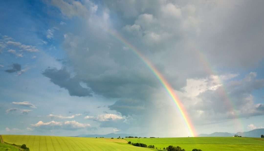 ¿Quieres saber cuándo aparece el arco iris? Descubre aquí todo lo que necesitas saber